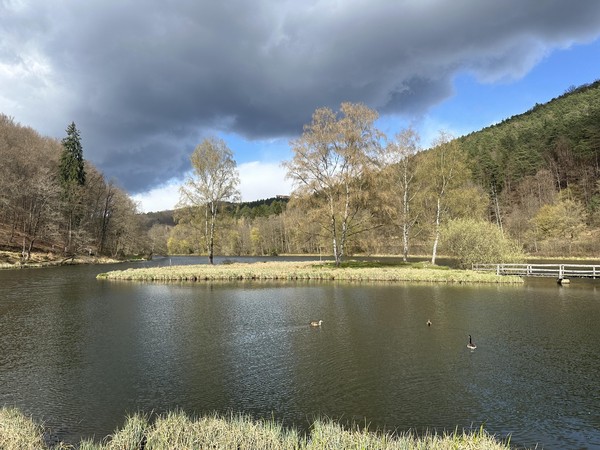 Der Fleckensteiner Weiher