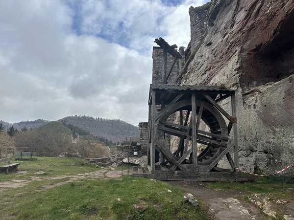 Tretrad als Lastenaufzug in Burg Fleckenstein